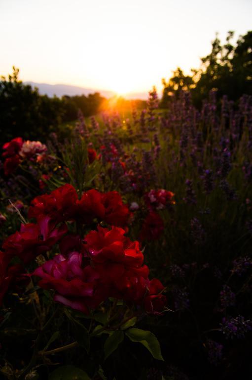 Agriturismo Podere Luisa มอนเตวาร์คี ภายนอก รูปภาพ